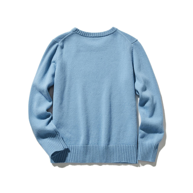 毎日だって着たくなる メリノウールを100％使用セーター　プルオーバー　　231102