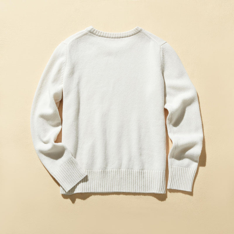 毎日だって着たくなる メリノウールを100％使用セーター　プルオーバー　　231102